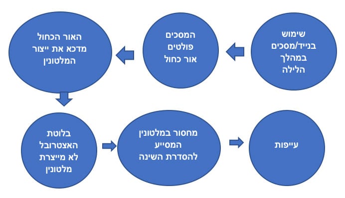 אור כחול - אופטיק ויז'ן